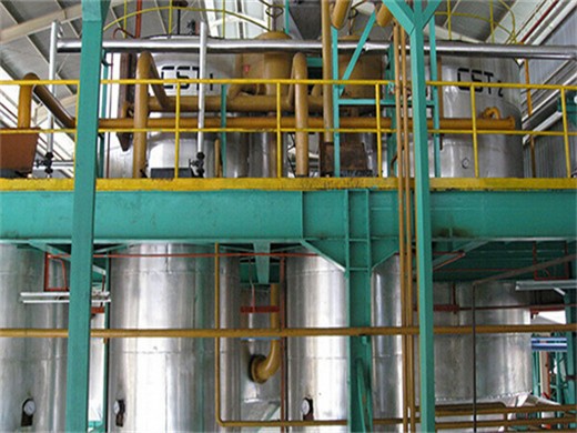 50tpd safflower oil cold pressing plant installed in Zimbabwe