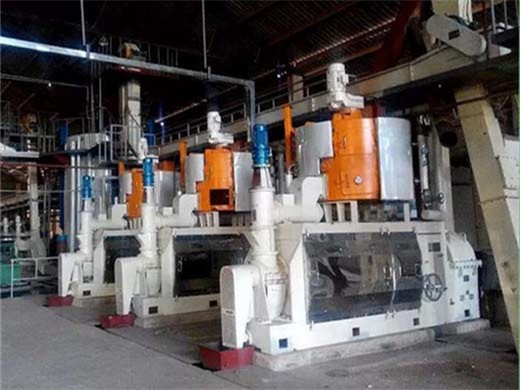 cold press oil extraction plant sell to saudi arabia in Sudan