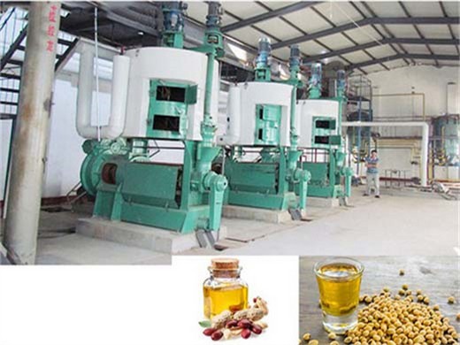buy oil production line cold press and get