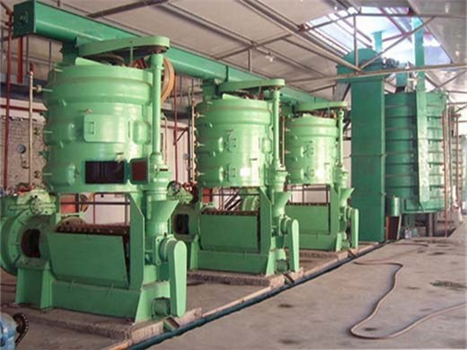 700w automatic oil production line all