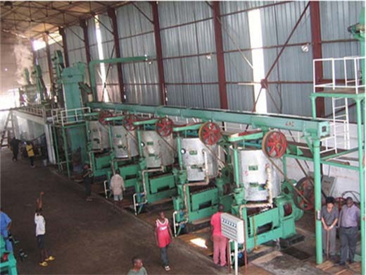 high quality grape seed cold screw oil production line cost