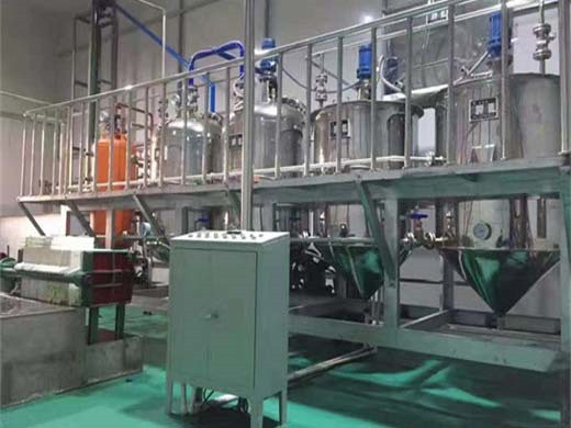 220v cold press new type oil production line hj-p05 in Tanzania
