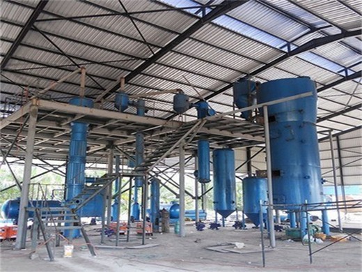 factory price big rice bran oil mill plant in Ghana