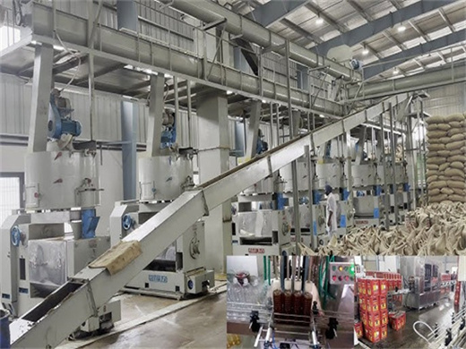 oil mill plant rice bran oil press machine mill