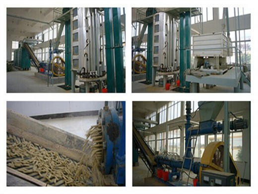 commercial big screw seed nut oil press oil extraction plant