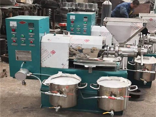 automatic screw oil presser coconut mill machinery zy24a in Cameroon