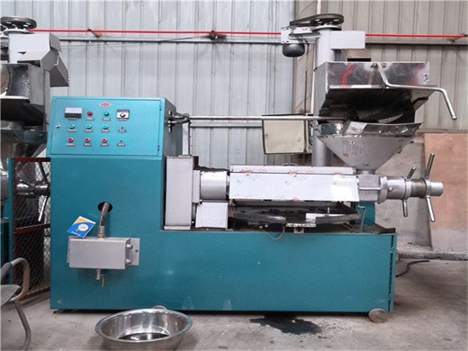 big corn germ mill babylock oil press machine for sale in United Kingdom