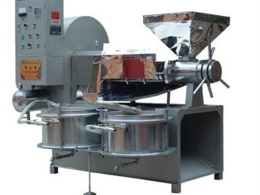 automatic new design cold press screw oil press machine