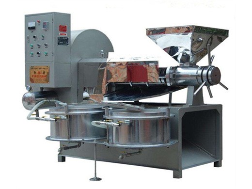 cooking oil mill machine sunflower seed oil press in Cameroon
