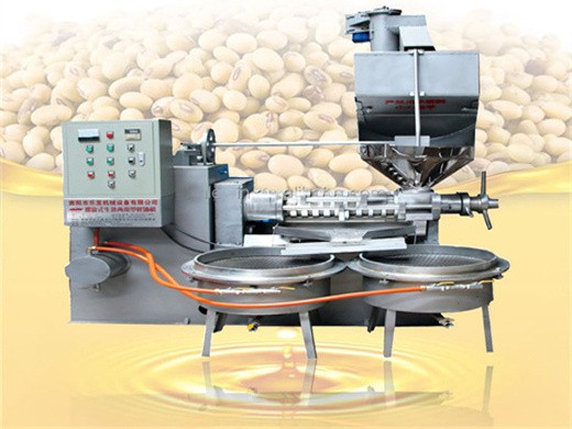 automatic seed oil extraction machine cold press oil machine