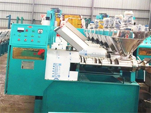 oil expeller machine manufacturer and supplier oil mill in Kumasi