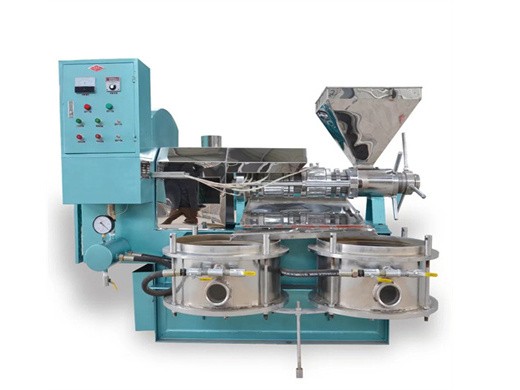 supplier screw peanut oil squeezing machine in Ethiopia