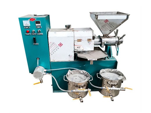 automatic hot press screw commercial oil press machine in Malaysia