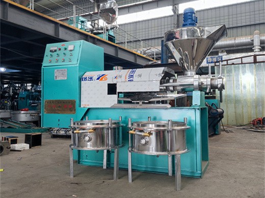 commercial heat and cold press seed oil extraction machine