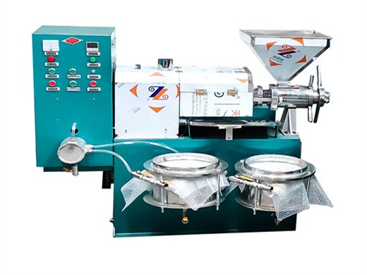 automatic oil press machine cold press peanut oil extraction