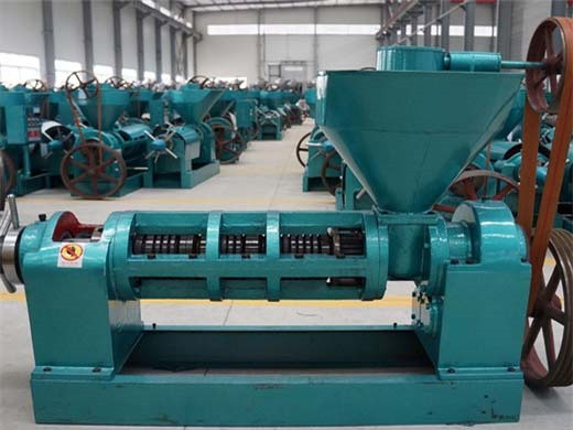 screw sunflower oil mills for sale in Egypt