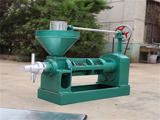 coconut screw oil press machines in Angola