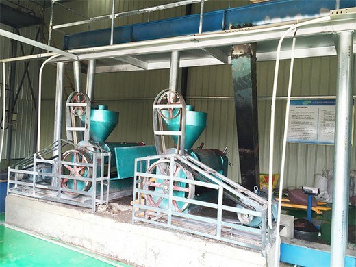 hj-p05 automatic almond sunflower oil press machine/oil