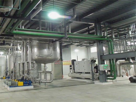 competitive price screw edible oil press machine