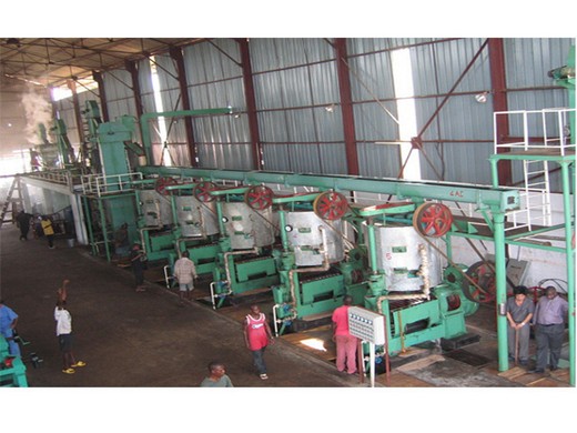 6yl-130 type screw press edible oil press machine large