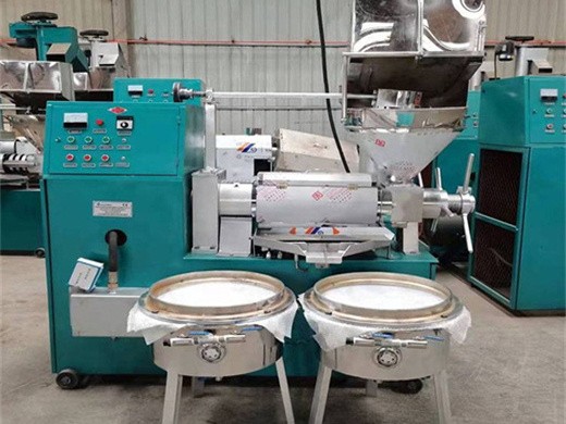 6yl-130 hot cold big groundnut oil mill in Ghana