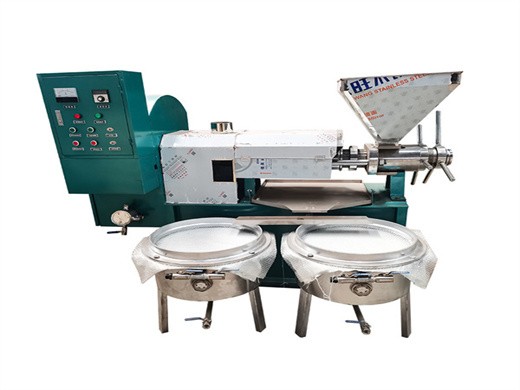 processing machine big oil press castor seeds oil making