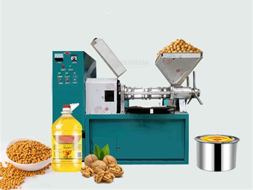 soybean oil mill cold oil press 300kgs per hour-oil in Ibadan