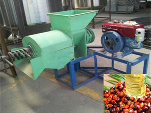 the most popular 10tph palm oil processing machine cost