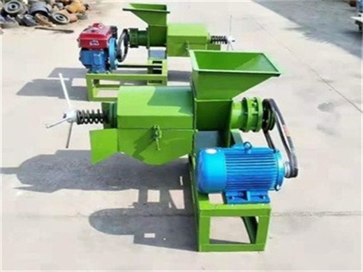 palm fruit processing palm oil mill machine leading