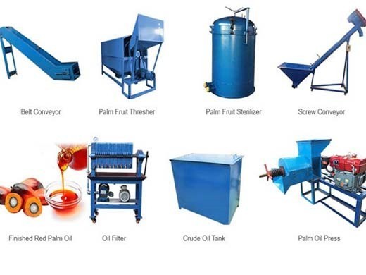 optimal business plan of palm oil processing mill