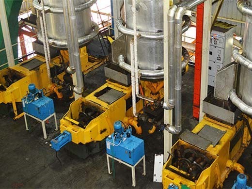 palm kernel hemp oil extraction machine peanut