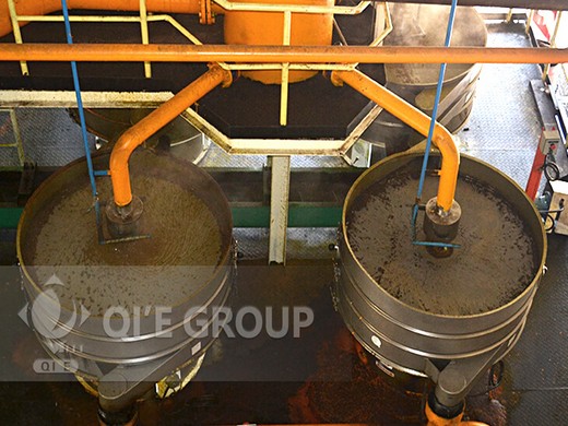 hot sale palm oil extraction equipment in Nigeria