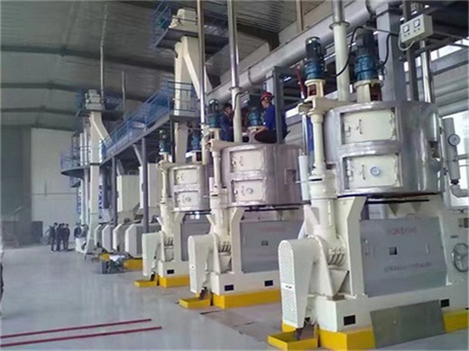 2025 popular palm kernel screw oil mill cooking oil in DRC