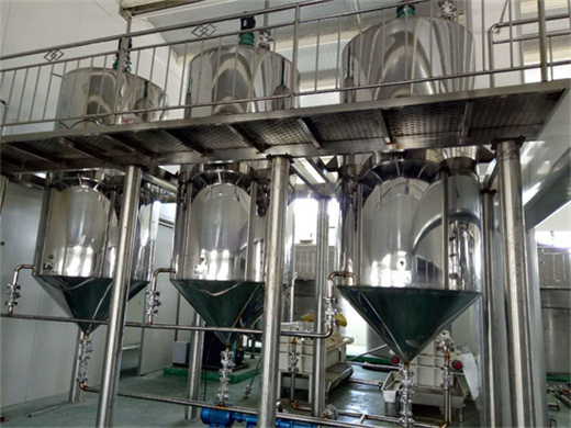 crude palm oil refining machine low cost price in Philippines